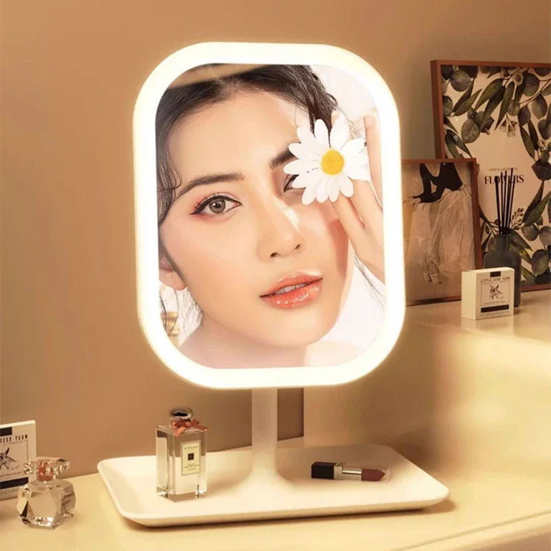LED Vanity Mirror